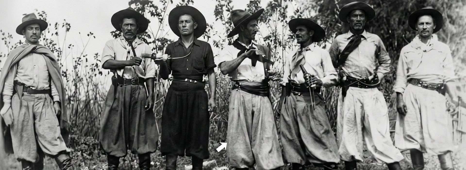 Registro Histórico de Silvino Jacques